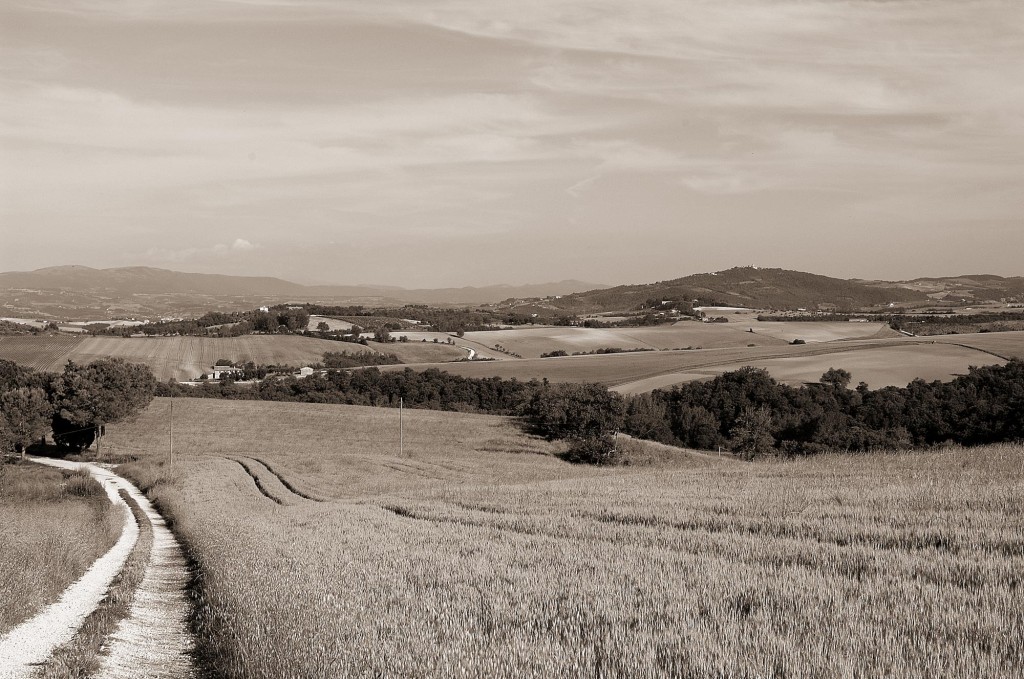 azienda_agraria_montevibiano